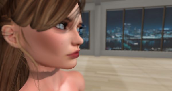 the "screen_last" image from the Second Life viewer